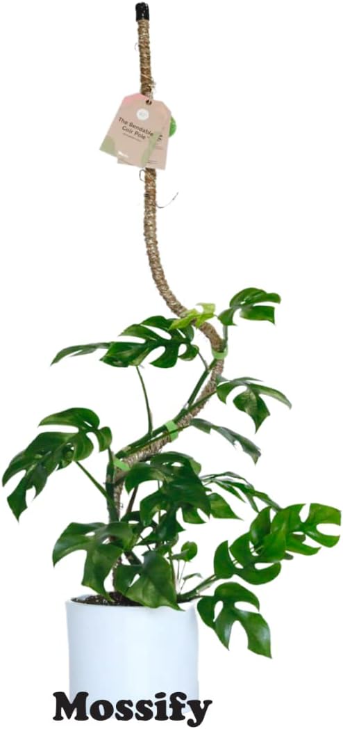 Mossify Bendable Coir Pole for Plants – 42” Premium Manila Coir Moss Pole Monstera Plant Support for Indoor & Outdoor Plant Climbing Support - Comes with Reusable Tape for Durable Plant Pole