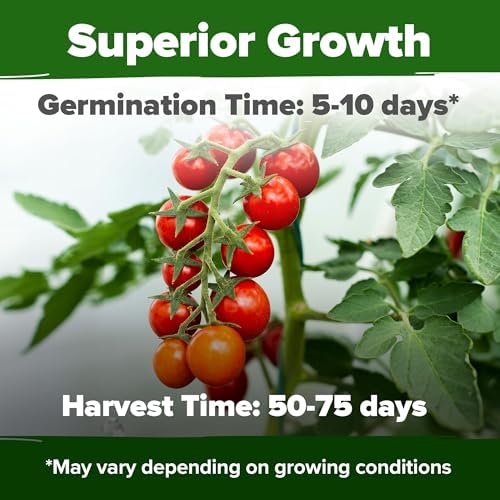 HOME GROWN Heirloom Garden Seed Kit – 3-Pack | Cherokee Purple & Large Red Cherry Tomato + Luffa Seeds | Non-GMO, USA-Sourced, High Germination Vegetable & Loofah Seeds for Sustainable Gardening