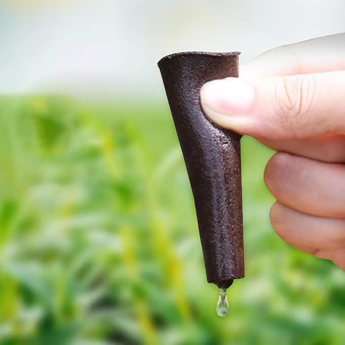 GSHLLO 50 Pcs Hydroponics Grow Sponges Plant Seed Starter Pods Indoor Growing System Plant Growth Pods Seedling Starter Grow Sponges Garden Root Pods