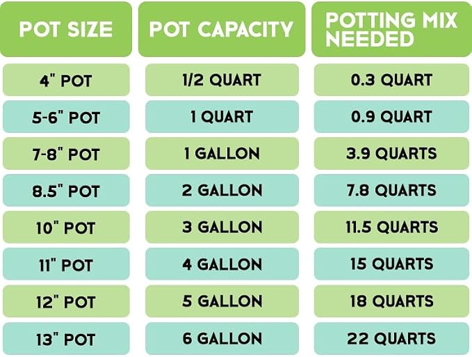 Rio Hamza Trading Tropical House Plant Potting Mix (2 Quarts); for All Types of Indoor House Plants