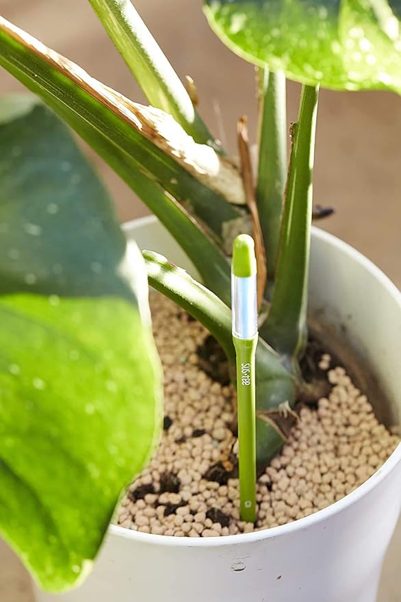Sustee Aquameter, Set of 5, Plant Soil Moisture Sensor (Green, Large)