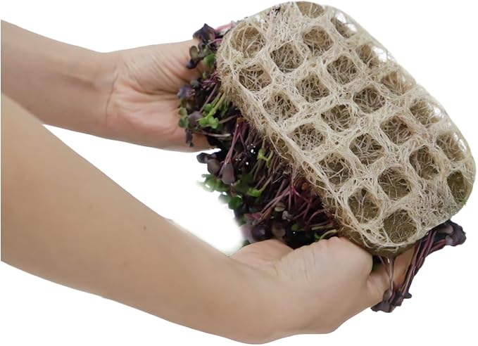 6-Pack Jute Grow Mats for Microgreens - Natural Biodegradable Hemp Mats for Seed Starter Tray & Sprouting Kit - Proprietary Water Level Hole Design for Micro Greens Trays (No Seeds)