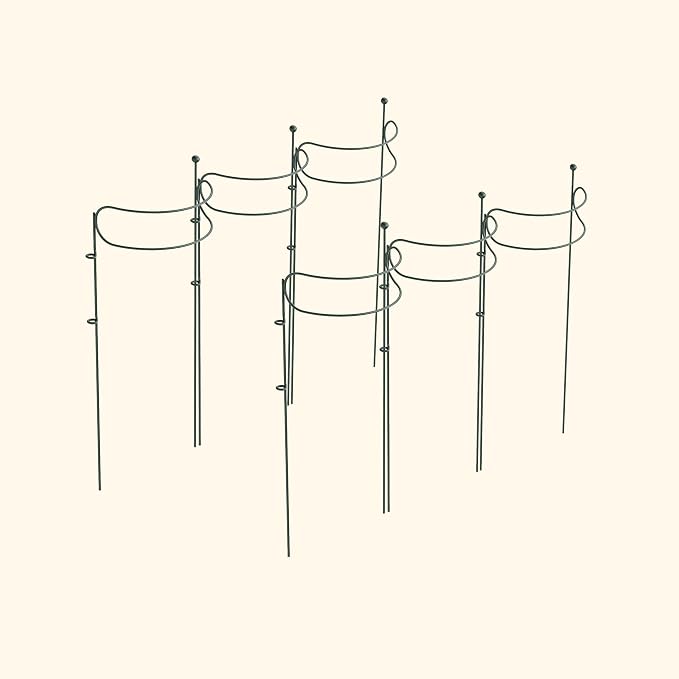6 Pack Curved Plant Support Stakes, Dual Half Round Metal Garden Plant Stake, Peony Cages and Supports, 10"(W) x 34" (H) Flower Support Ring for Peonies, Hydrangea