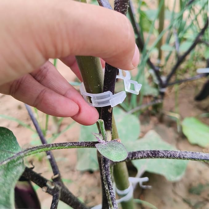 YUXIANG Plant Support Clips, 200 Pcs Tomato Clips, Plastic Trellis Clips, Grape Vine Tomato Vine Vegetables Plants Garden Support Clips to Grow Upright Makes Plants Healthier (200, White), 0618-1