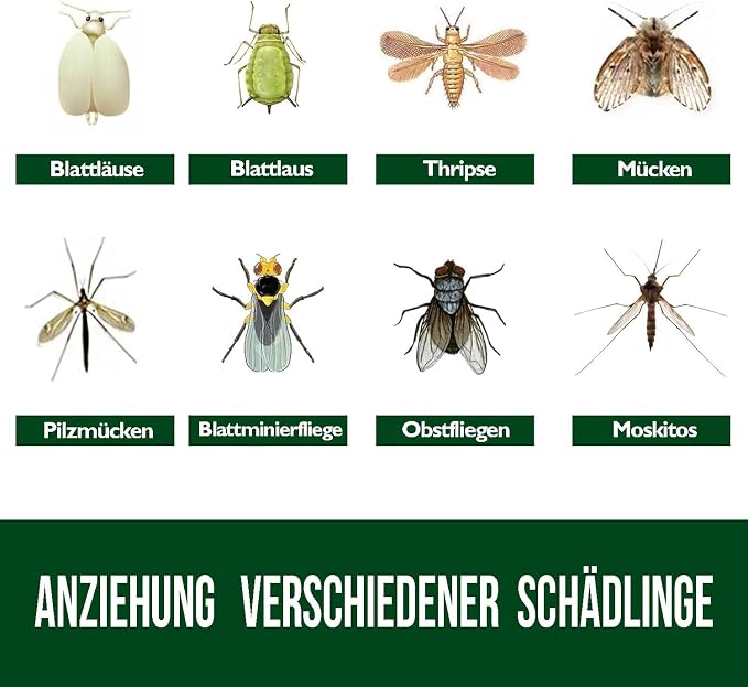 Garsum Fruit Fly Trap Yellow Sticky Fungus Gnat Killer for Indoor and Outdoor Plant