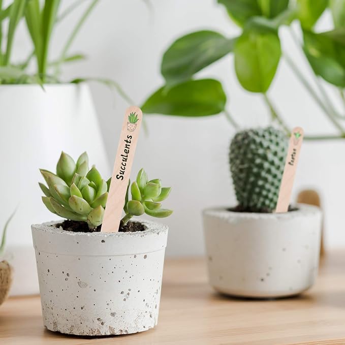 Whaline 200Pcs Wooden Plant Labels Waterproof Round Head Plant Sign Tags Birch Wood Garden Markers for Seed Potted Herbs Flowers Vegetables with 2 Gel Pen, 0.7 x 5.9 Inch