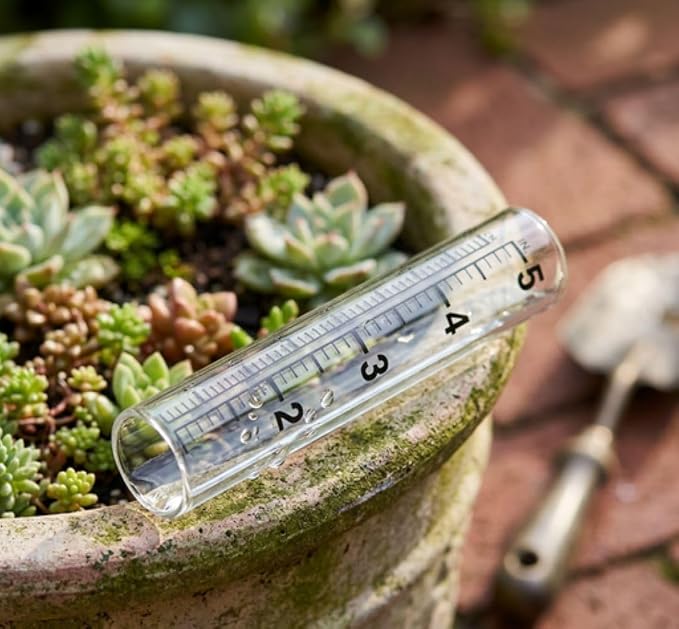 Replacement Rain Gauge Glass (Small)