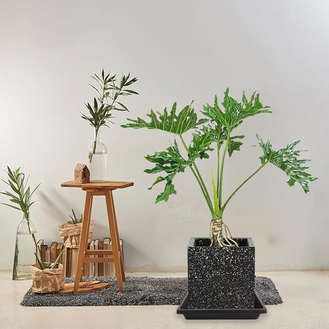 Square Plant Saucer 10 Inch 4 Pack, Plant Drip Trays and Flower Pot Saucers，Doubles Plant Water Catcher Tray, Plant Trays for Indoors No Holes, Plant Drainage Tray Saucers for Potted Plants