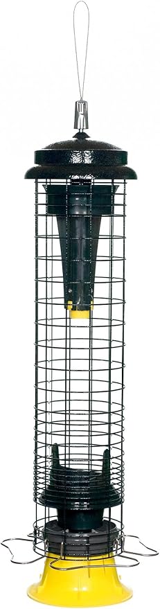 Brome Squirrel Solution 150 Squirrel-Proof Bird Feeder for Wild Birds – 4 Stainless Steel Perches, 2.6 lb Seed Capacity, Chew-Proof, Free Seed Funnel Included