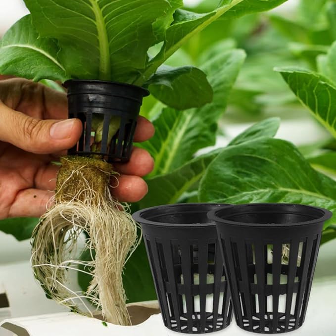 Toddmomy Hydroponic Grow Baskets 5-Pack 2.16X1.96X1.18In Slotted Mesh Net Cups for Seed Starting Root Aeration Indoor Outdoor Hydroponics Aquaponics Vegetable Orchid Plant Containers