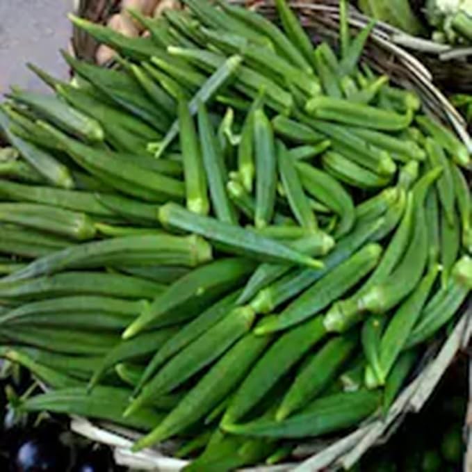 30 Indian Dark Green Tender Okra Seeds F1 Desi Bhindi Bendakaya भिन्डी - Early Variety First harvesting :40-45 Days After Sowing Planting Easy to Grow Outdoor Summer Garden (Abelmoschus esculentus)