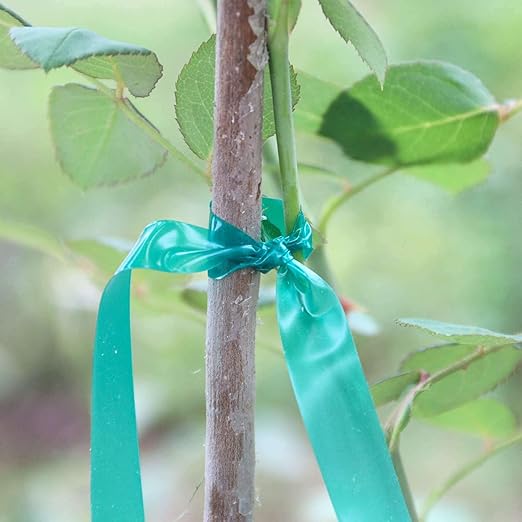 Easytle Stretch Tie Tape Roll, 1/2" 150ft Garden Tie Tape, Thick Sturdy Plant Ribbon Garden Green Vinyl Stake Gardening Tools for Indoor Outdoor Patio Plant Use (10 Pack)