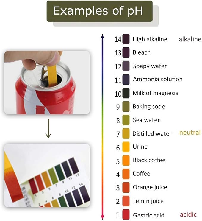 6 Pack pH 1-14 Litmus Test 480 Strips with Storage Case for Urine, Water, Soil Testing and Pet Food Monitoring