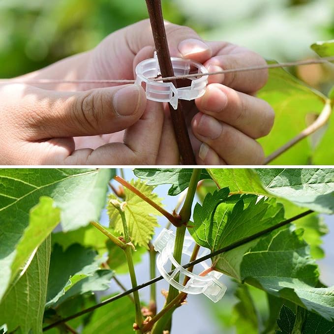 300Pcs Plastic Plant Clip, Plastic Trellis Plant Support Clips for Support, Garden Clips for Climbing Plants, Plastic Trellis Clips Plant Support Clips Vegetables Grape Vine Tomato Plant Fixing Clips