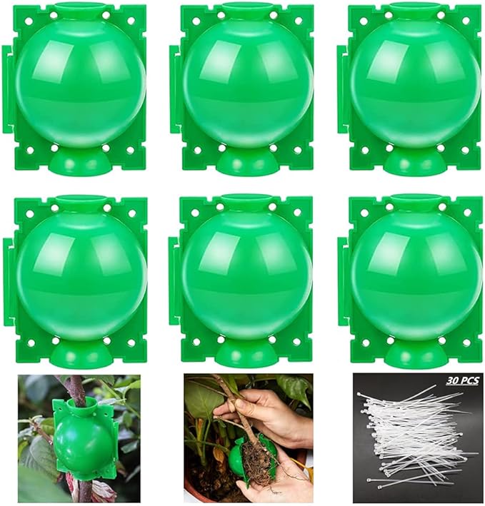 Air layering pods, Reusable Plant Rooting Device Plant Rooting Grow Box High Pressure Propagation Ball Grafting Device Botany Root Controller Garden Plant Rooter Box (Medium(3.1″×6PCS),Green)