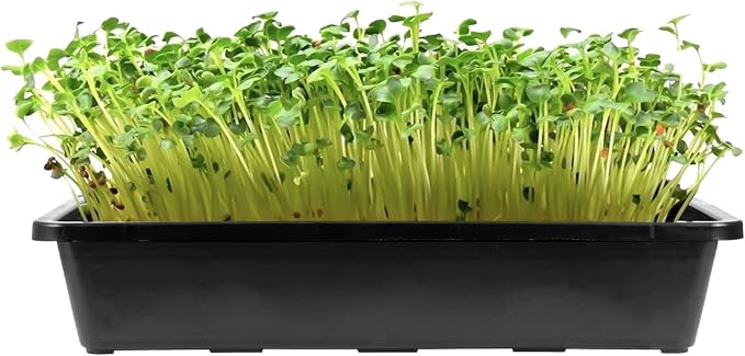 MOUYAT 14 Pack 15 x12 Inch Seed Starter Trays, Plastic Mesh Bottom Growing Trays, Plant Germination Trays for Microgreens, Soil Blocks, Wheatgrass, Hydroponic and Fodder Systems, Black