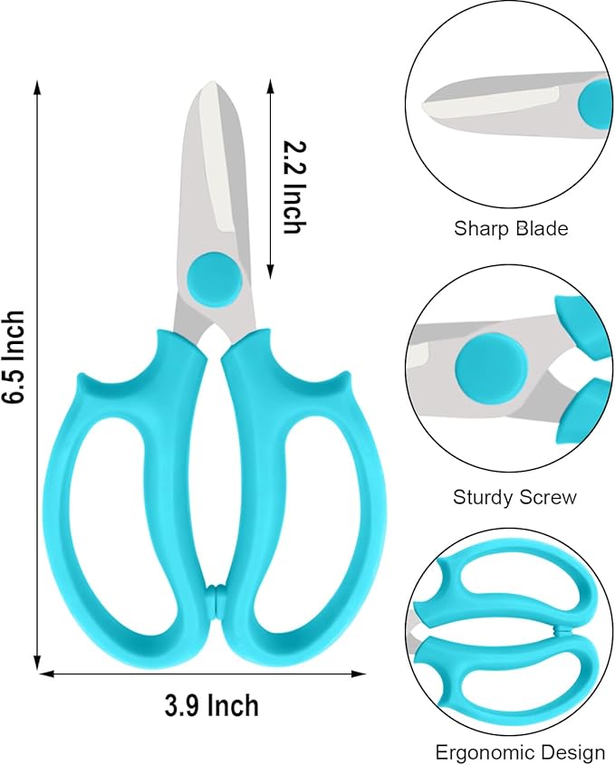 Flower Scissors - Stainless Steel Flower Shears, Garden Plant Floral Shears for Fresh Flowers Stems (Blue, Green, Pink, Violet) (1 PC Violet)