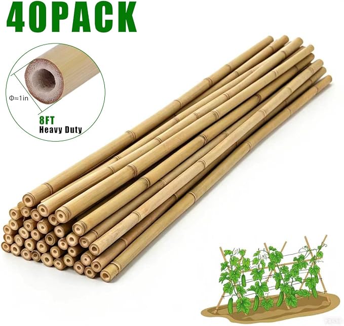 Plant Bamboo Post,8Feet,40Pack,Bamboo Garden Stakes,Bamboo Stakes,for Tomato,Beans,Vegetable and Flowers, Potted Plants,Indoor and Outdoor Climbing Plants (8Ft,40Pack)