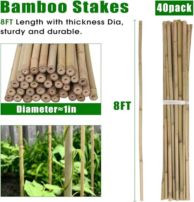 Plant Bamboo Post,8Feet,40Pack,Bamboo Garden Stakes,Bamboo Stakes,for Tomato,Beans,Vegetable and Flowers, Potted Plants,Indoor and Outdoor Climbing Plants (8Ft,40Pack)