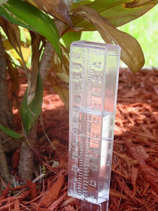 5-Inch Capacity Plastic Rain Gauge Outdoor Easy to Read for Yard Capacity Wall Mount or in Ground(Clear,2 Pieces)