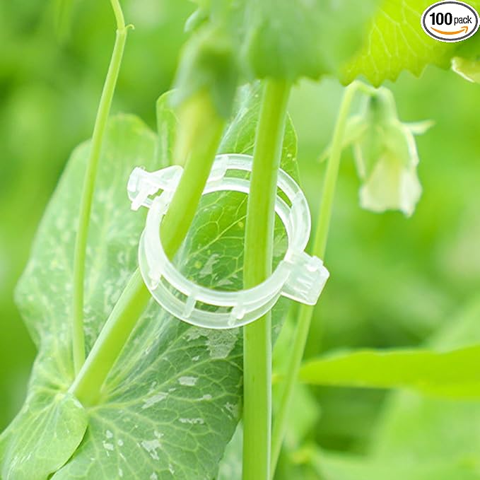 Secured Plastic Plant Clip, Plant Support Clips, Garden Clips for Climbing Plants, Plastic Trellis Clips Plant Support Clips Tomato Grape Vine Vegetables Plant Fixing Clips (100, White)