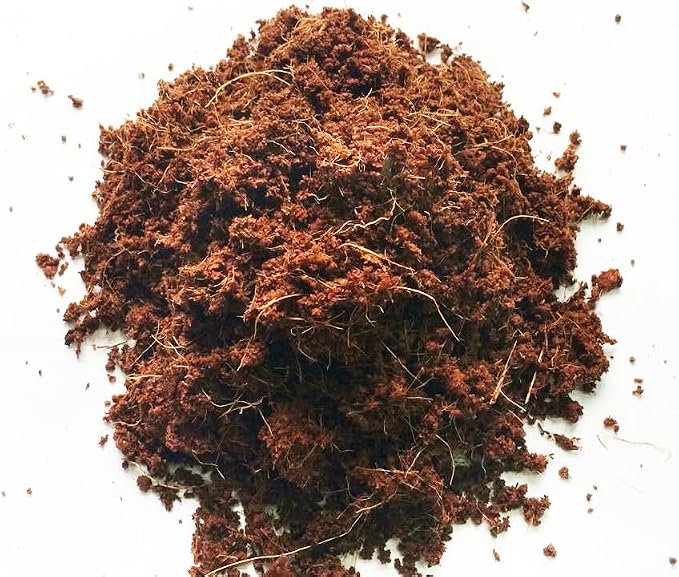 PlantBest Compressed Coconut Coir Block 11 lb – Expands to 64 Quarts and Up to 2.65 Cubic Feet, Coco Coir Growing Medium, Peat Moss Alternative for Potting Soil, Garden Soil, Raised Beds