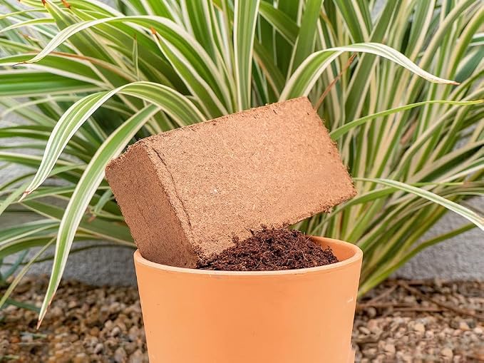 Coco Coir for Plants 6-Pack – 2.4 Gallons Compressed Coconut Coir Bricks, 1.5 lb. Bulk, Low EC, pH Balanced, Natural Coco Peat for Indoor & Outdoor Gardening, Potting Soil, Indoor Plant Soil