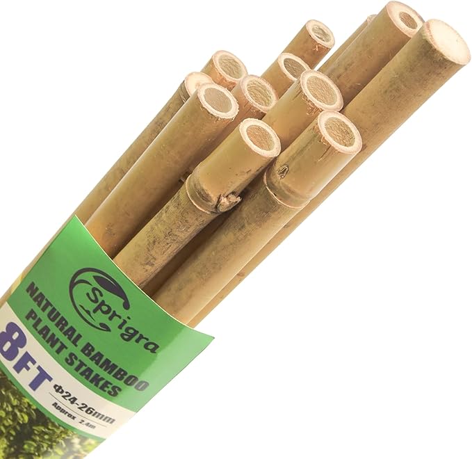 Bamboo Stakes Approx 8ft, 92 inch Garden Stakes Multi-Purpose, Bamboo Plant Support Stakes for Tomatos, Beans, Cucumbers, Peppers, Potted Trees, Maintain the plant Posture, Strengthen and Stem
