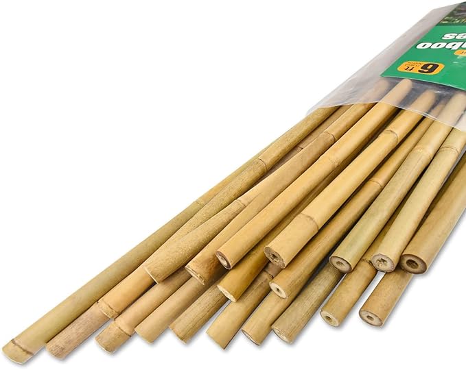 Jollybower 20pcs 5/8" D Thicker Heavy Duty Bamboo Stakes, 6FT Plant Stakes, Natural Garden Stakes for Tomato, Bean, Flowers,Trees Potted and Climbing Plant Support