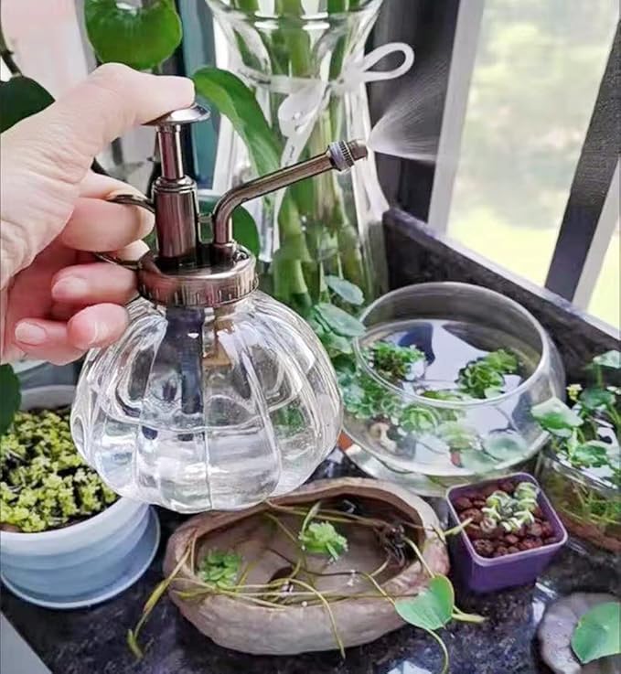 Glass Plant Spray Mister, Watering Spray Bottle, 6.4" Tall Vintage Fine Mist Spritzer Watering Can with Bronze Plastic Top Pump, Small Decorative Watering Can for Succulent House Plant (Green)