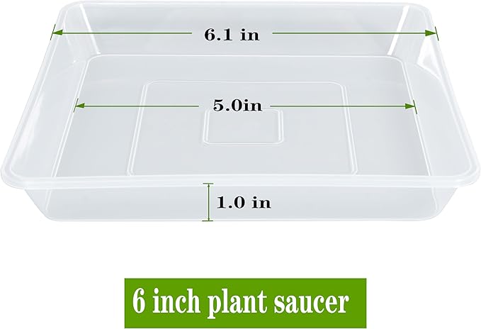 LWALRS Square Plant Saucer 6 Inch 5 Pack, Strong Clear Plastic Flower Plant Pot Saucer, Square Planters for Indoors and Outdoors Plants, Garden Plant Saucers for Pots Plant Trays.