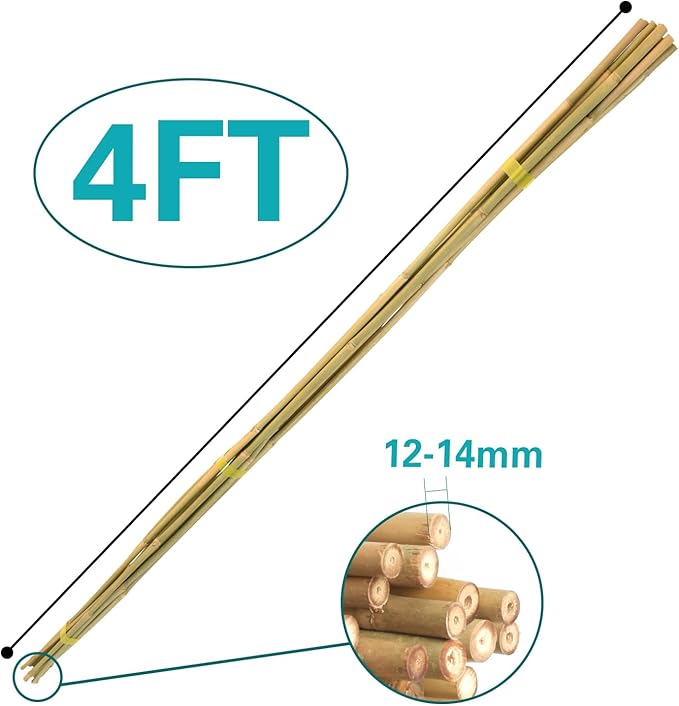30pcs Bamboo Stakes 4FT, 1/2" D Thicker Garden Stakes Multi-Purpose, Plant Stakes for Tomatoes, Beans, Cucumbers, Peppers, Flowers, Potted, Maintain the Plant Posture, Strengthen and Stem