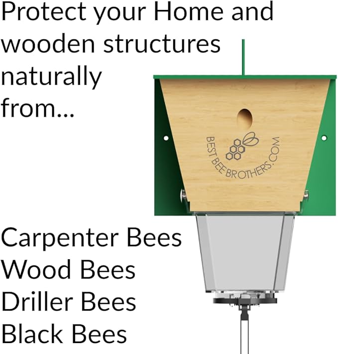 Best Bee Brothers Ultimate Pro Carpenter Bee Trap for Outside with Extra-Large, Clear External Receptacle, Internal Bee Vault & Spring-Loaded Door, 4.2” D x 5.8” W x 7.5” H (2 Pack)