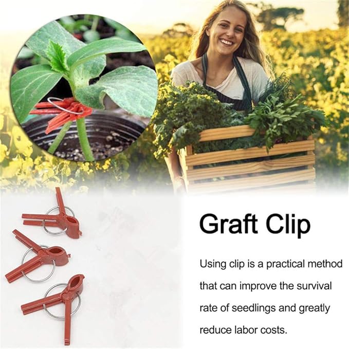 Suxgumoe Plants Graft Clips, 100PCS Plastic Round Mouth Grafting Clips Gardening Tool for Cucumber Eggplant Tomato Watermelon