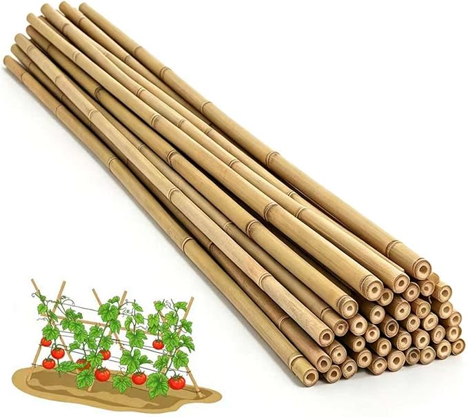 Plant Bamboo Post,8Feet,40Pack,Bamboo Garden Stakes,Bamboo Stakes,for Tomato,Beans,Vegetable and Flowers, Potted Plants,Indoor and Outdoor Climbing Plants (8Ft,40Pack)