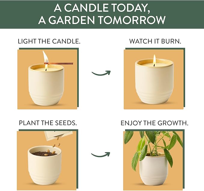 Modern Sprout - 2-in-1 Soy Candle & Planter - Golden Moments (Cali Lemon, Amber, Moss) 6 Oz Scented Candle with Sage Seeds - Dual Purpose Jar - 38-40 Hour Burn – Perfect Plant Lovers Gift