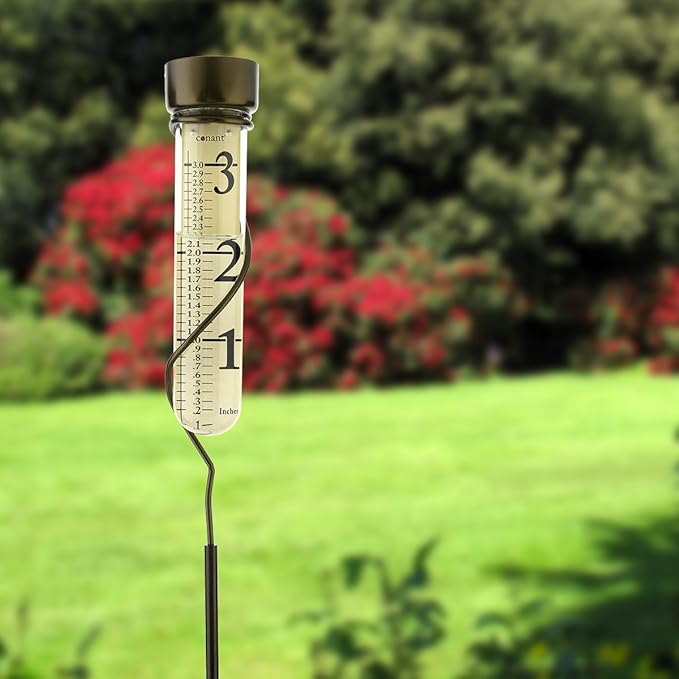 Conant Décor VRG6BP Grande View Rain Gauge (Bronze Patina)
