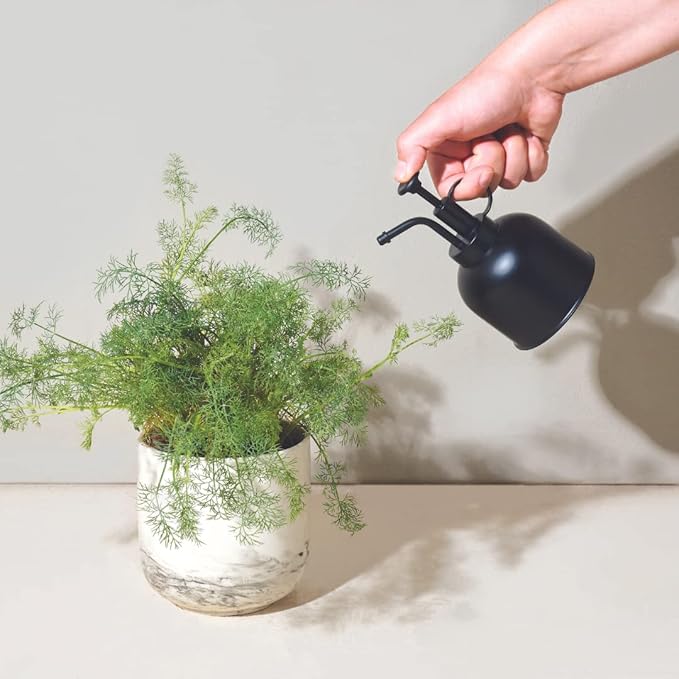 Modern Sprout Plant Mister, 8 oz Indoor Watering Can, Aesthetic Plant Sprayer & Water Mister Spray Bottle, Garden Watering Can for Seed Starting, Vintage-Inspired Gift for Father's Day - Matte Black