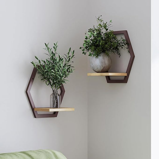 2 Pack Solid Wood & Metal Framework Wall Plant Stands,9 inch Natural Wood Shelf of Indoor,Mid Century Modern Hanging Planter for Outdoor Entryway 25 LB Load for Plants Coffee