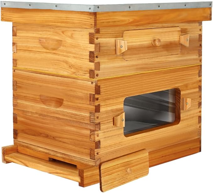 BeeCastle 10-Frame Langstroth Beehive, Beeswaxed Coated Bee Hive Starter Kit for Beekeeping Beginners with Beehive Frame and Waxed Foundation (1 Deep Beehive Box & 1 Medium Beehive Box)