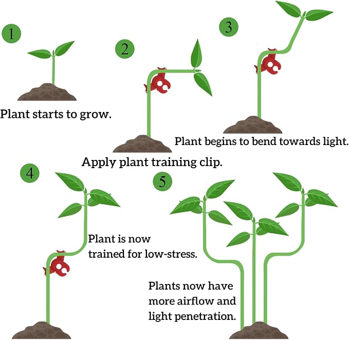 Goaste 100 Pack Plant Training Clips, 90 Degrees Plant Stem Bender, Low Stress Plant Branch Trainer Clips for Flowers, Vegetables, Plant Gardening (Circle Style,Red)