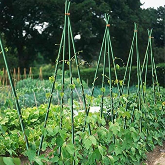 Growsun 5ft Garden Stakes Plant Cage Supports Tomato Trellis Climbing Metal w/Plastic Coated, Pack of 50