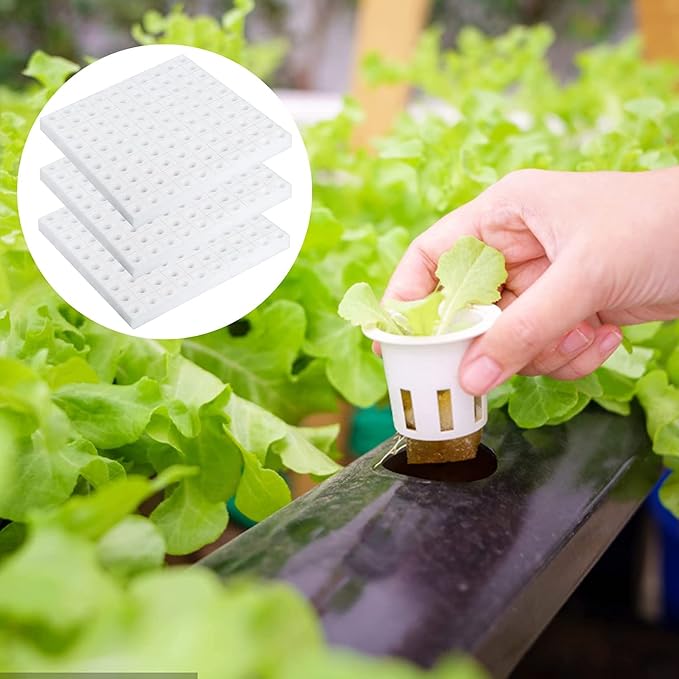 600 Pcs Hydroponic Sponges Planting Gardening Tool Soilless Cultivation Seedling Sponges Cultivation Sponge Greenhouse for Small Bud Growth & Grow Seedlings