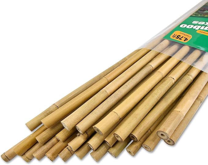 Jollybower 25pcs 1/2" D Thicker Heavy Duty Bamboo Stakes, 4.75FT Plant Stakes, Natural Garden Stakes for Tomato, Bean, Flowers,Trees Potted and Climbing Plant Support
