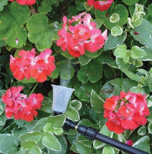 SOLO 420 2-Liter One-Hand Pressure Sprayer with Adjustable Telescoping Wand