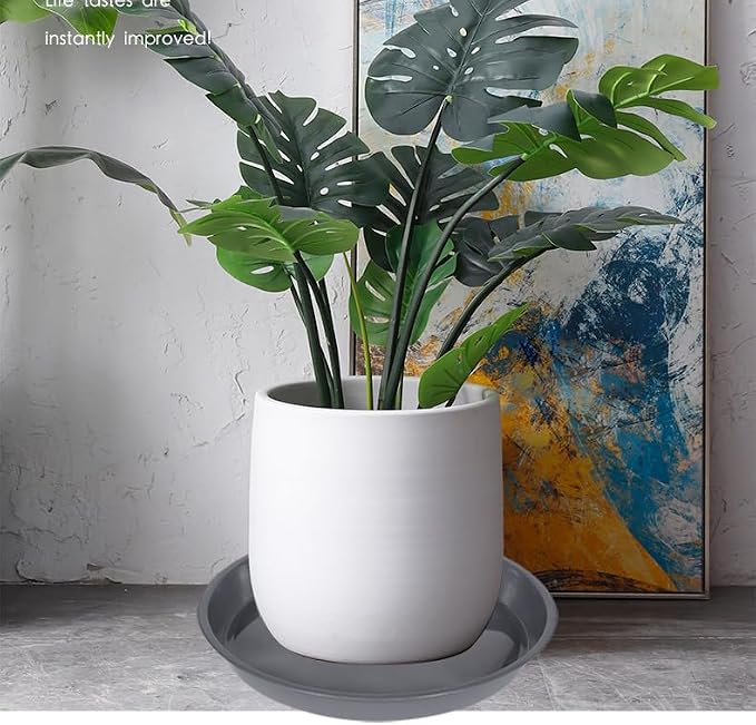 VUWEZ 6 Pack of 25 inch Plant Saucer, Plant Tray 25 Inch Round, Plant Saucers for Indoors, Plant Trays for Pots, Flower Pot Saucers, Pot Saucers for Planter 19-26" (25", Gray)