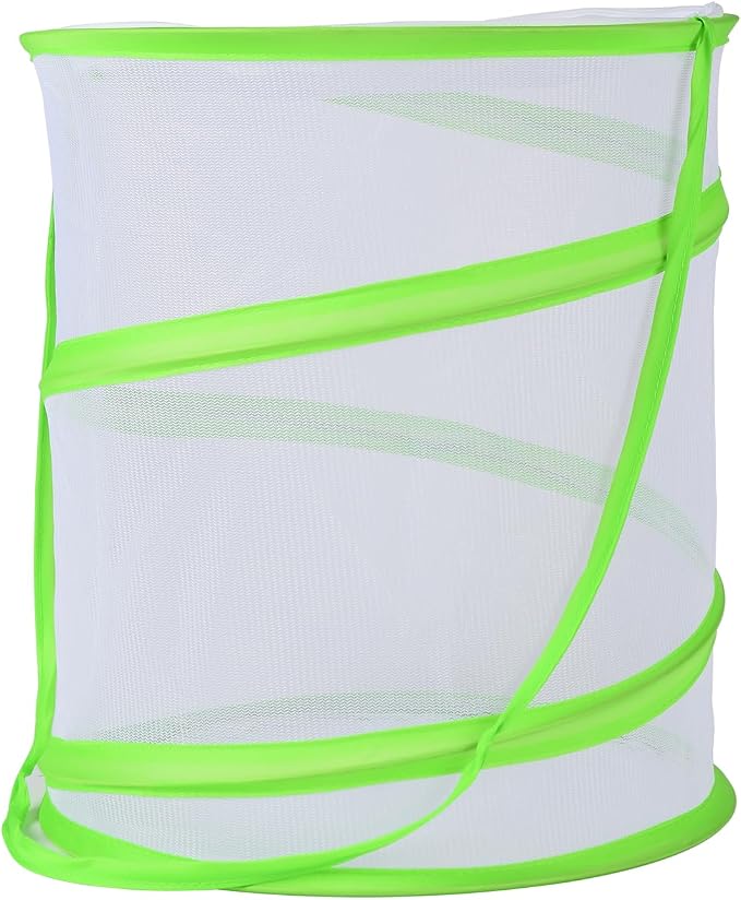 Insect Lore Butterfly Garden Habitat Foldable Washable and Reusable Butterfly Cage (Green-A, Medium)