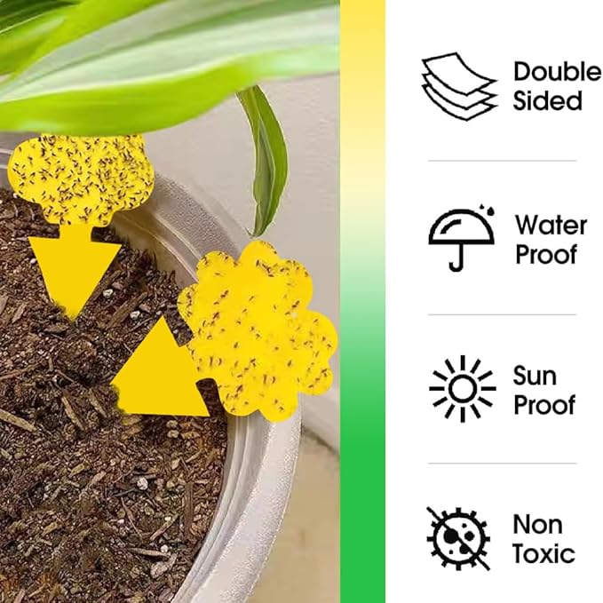 58 Pack Gnat Killer Sticky Traps for Plants - Yellow Fungus Gnat Sticky Trap for Indoor Houseplants, Fruit Flies, Whiteflies, Aphids - Family Friendly Design, Flower and Cloud Shapes