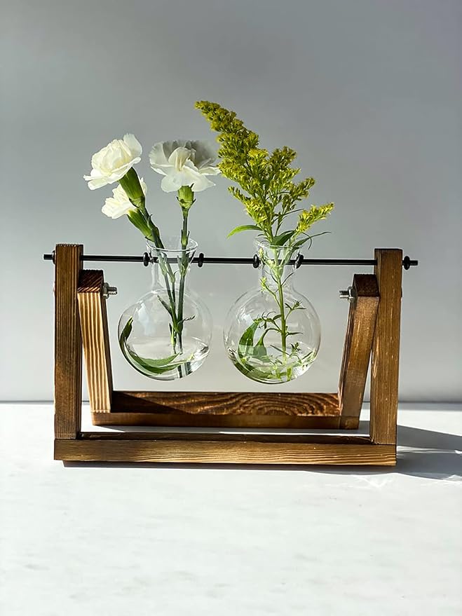 Kingbuy Glass Desktop Planter with Retro Wooden Stand, 2 Bulbs | Plant Terrarium Vase, Indoor Office Desk Decor, Accessories