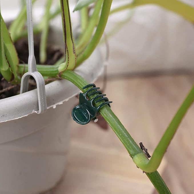AccEncyc 100 Pcs Plant Clips Orchid Clips Plants Orchid Support Clips Flower Vine Clips for Supporting Stems Vines Stalks Climbing Plant Grow Upright